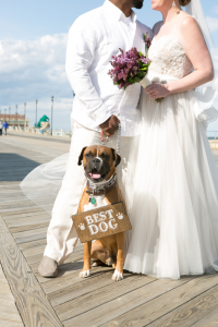 bride and groom with best dog