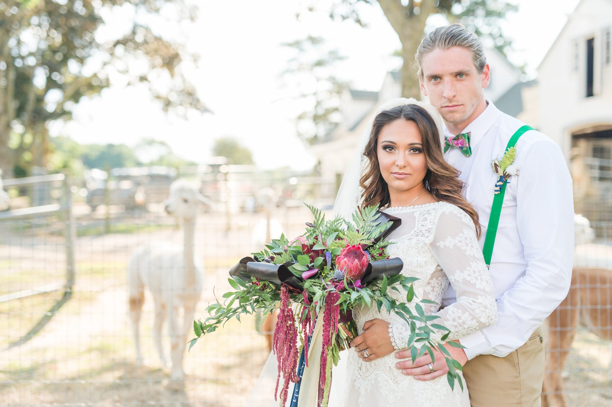 rustic NJ Farm wedding with alpacas