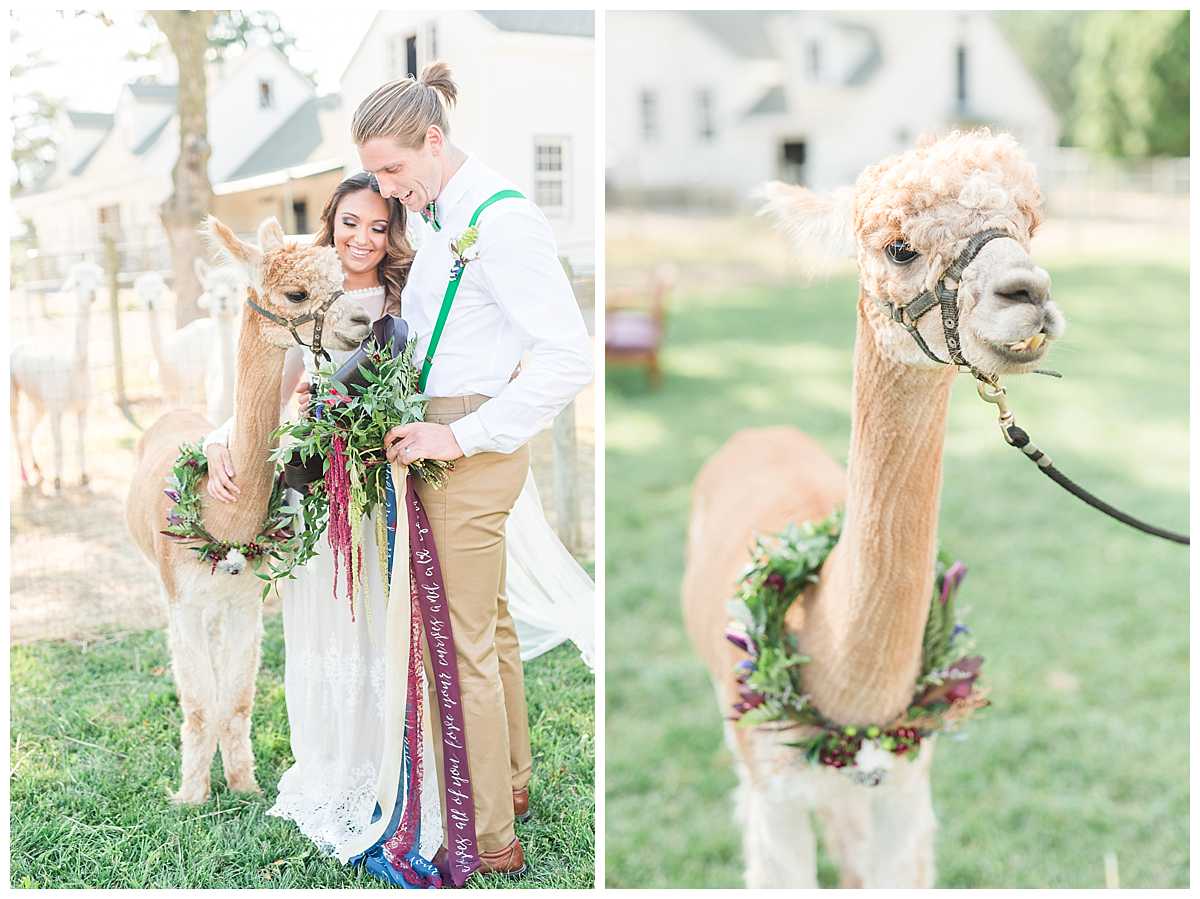 rustic wedding inspiration edel haus alpaca farm